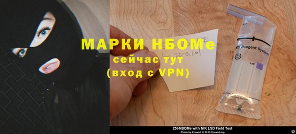 мет Алексин