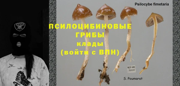 мет Алексин