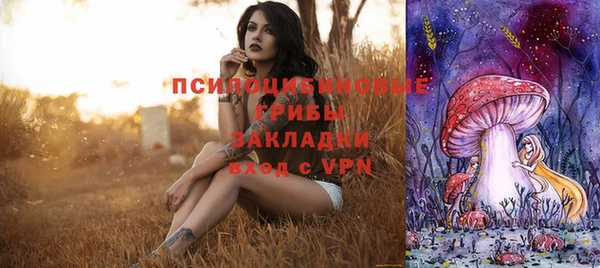 стаф Алексеевка