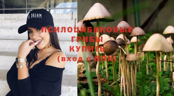 мет Алексин