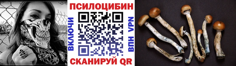 цена   даркнет официальный сайт  Псилоцибиновые грибы MAGIC MUSHROOMS  Чистополь 